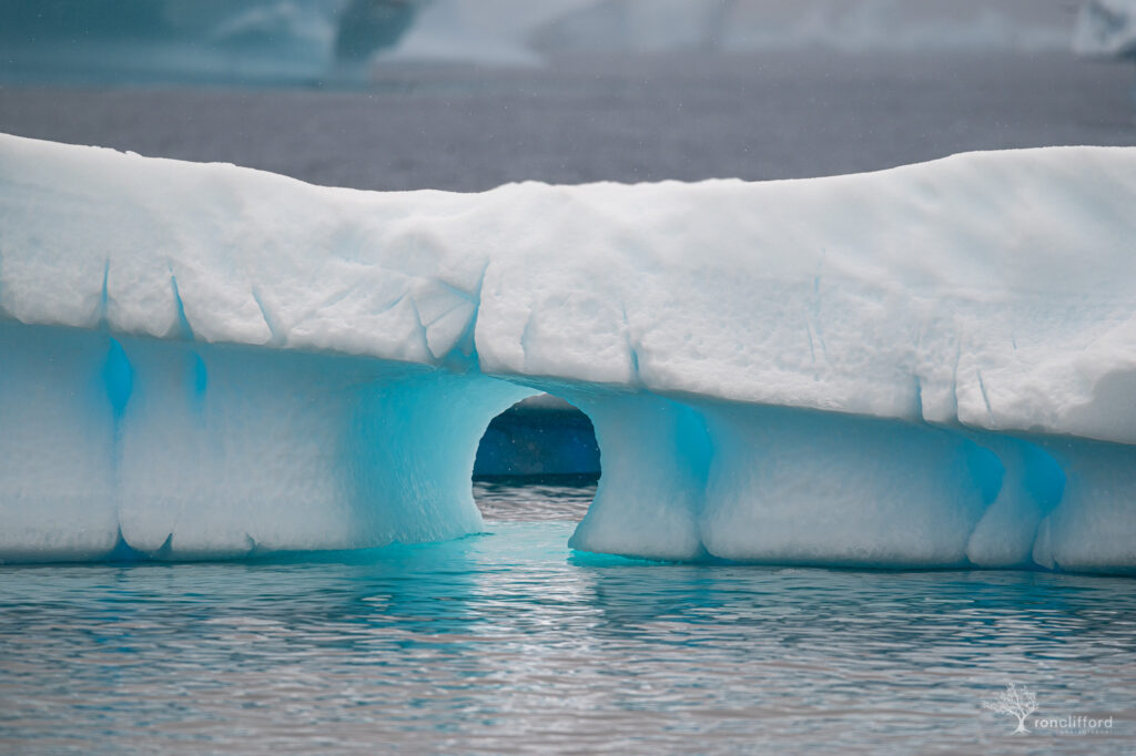 A hole carved into the ice along the shores of Cuverville Island