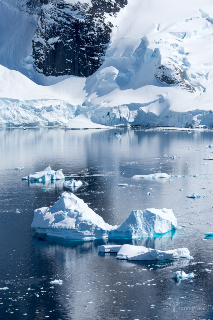 Icebergs in the Deep Blue waters around Danko Island